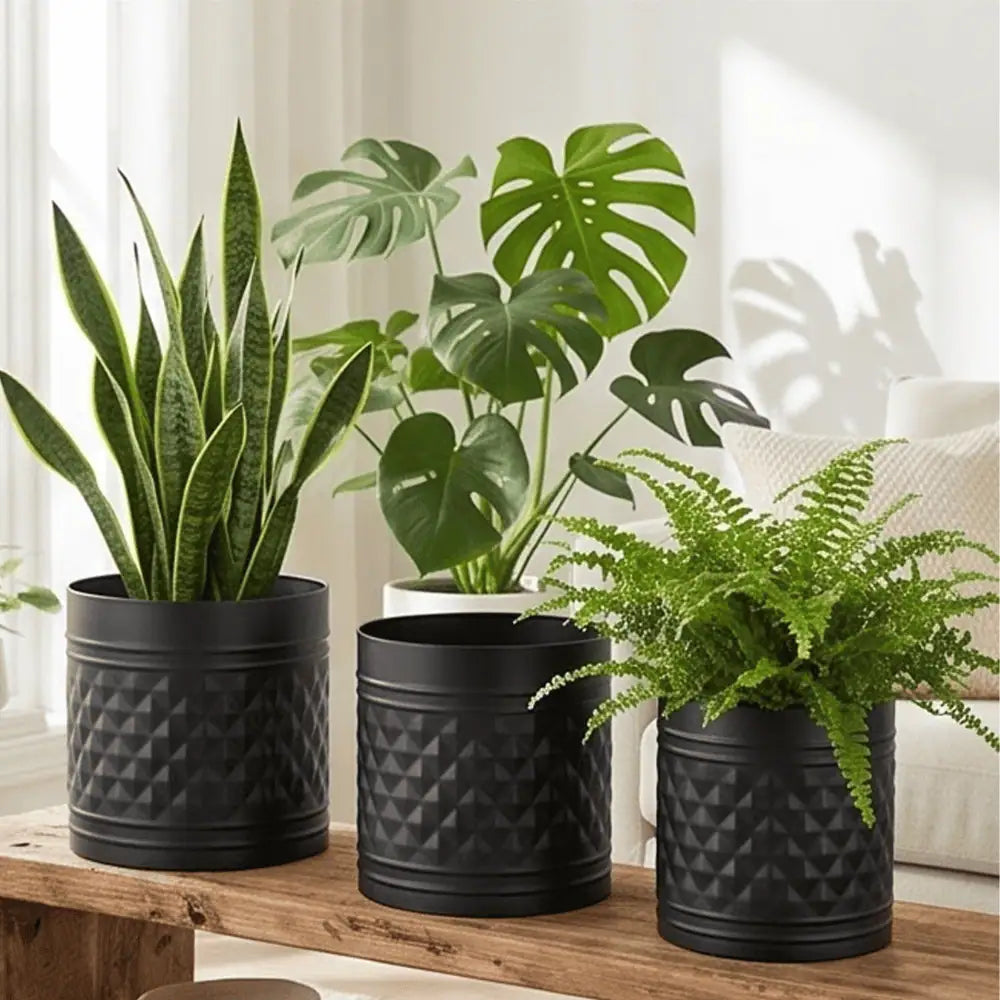 Black Decorative Planter Set of 3 for Home