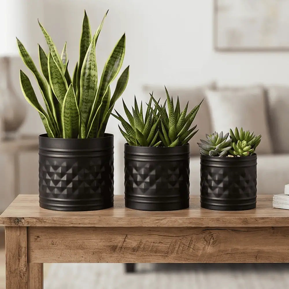 Black Decorative Planter Set of 3 for Home