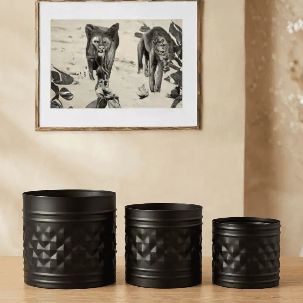 Black Decorative Planter Set of 3 for Home