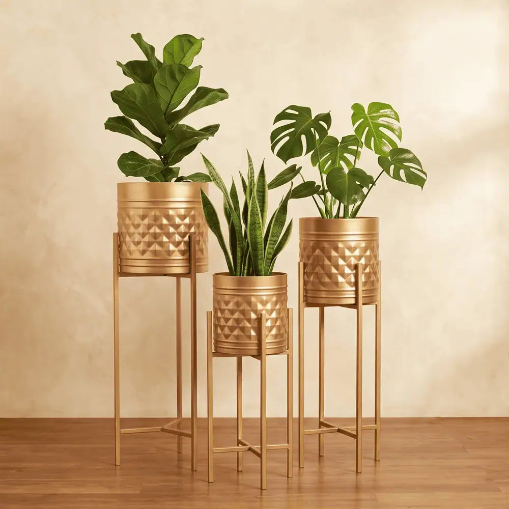 Aria Elevated Metal Planter Set of 3 with Tall Stands