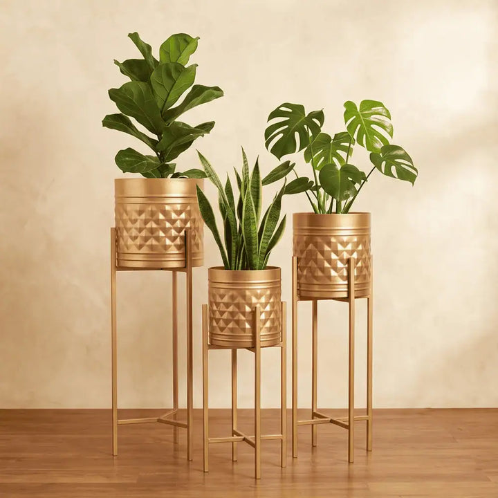 Aria Elevated Metal Planter Set of 3 with Tall Stands