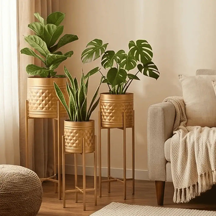 Aria Elevated Metal Planter Set of 3 with Tall Stands