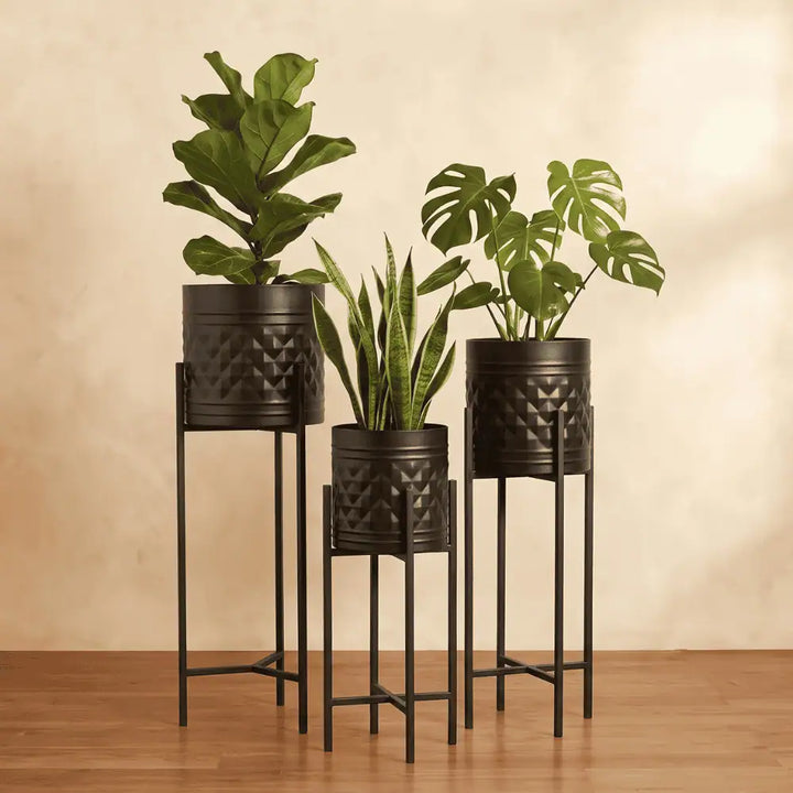 Aria Black Elevated Metal Planter Set of 3 with Tall Stands