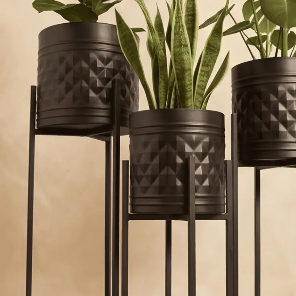 Aria Black Elevated Metal Planter Set of 3 with Tall Stands