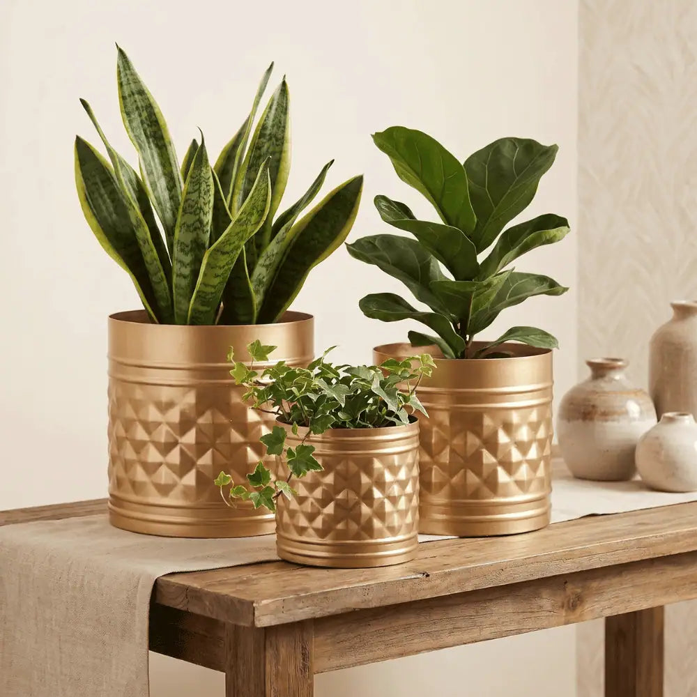 Textured Golden Metal Planter Set of 3 for Home & Indoor Decor