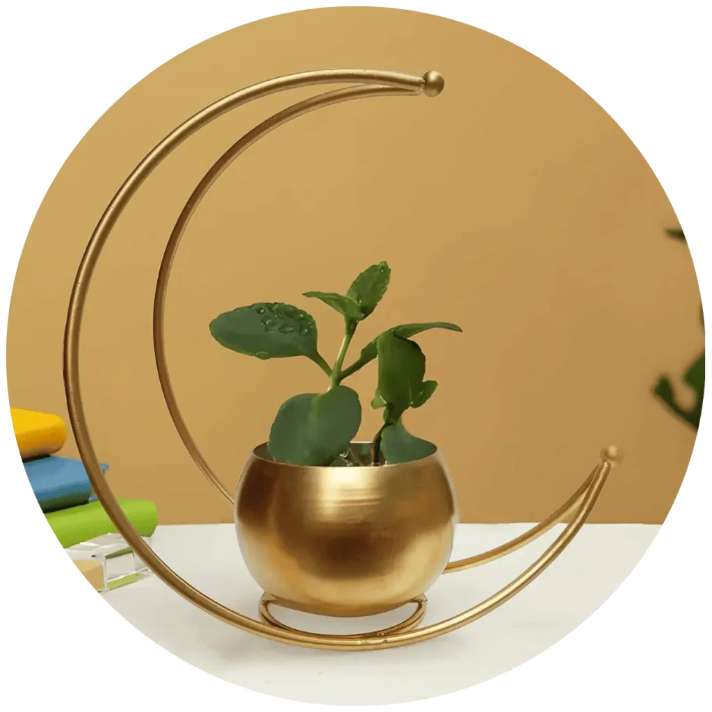 pots