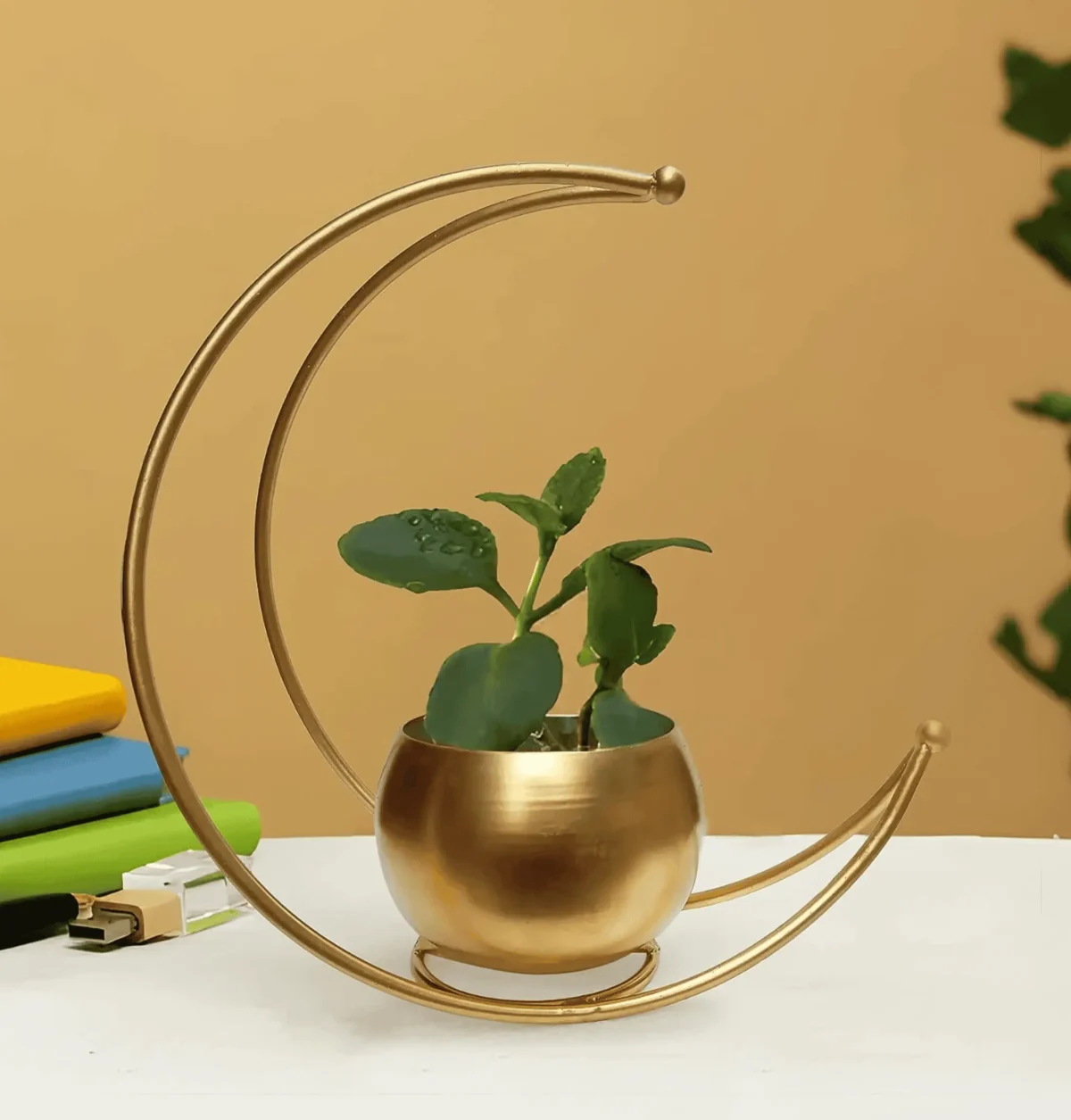 Crescent Moon Shape Golden Flower Pot